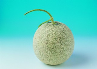 哈密瓜图片
