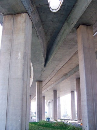 密集的高架桥桥墩图片